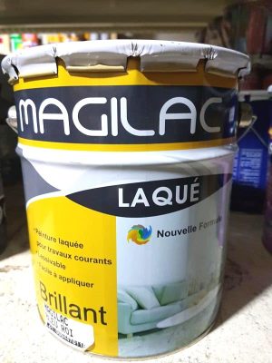 LAQUE 5 KG VERT WAGON MAGILAC FACOP