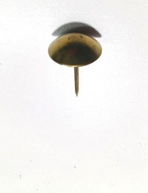 PUNAISE FAUTEUIL JAUNE