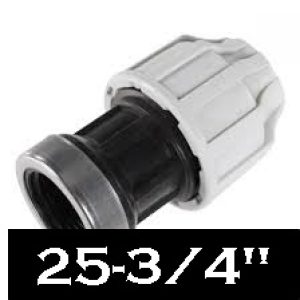 RACCORD PE F 25 – 3/4