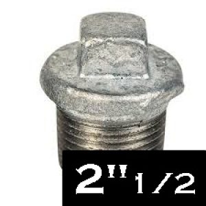 BOUCHON GALVANISE F 2 1/2