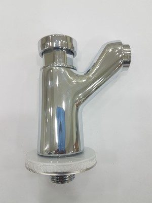 ROBINET POUSSOIR MURAL TEMPORISE CLEVER ELEGANCE